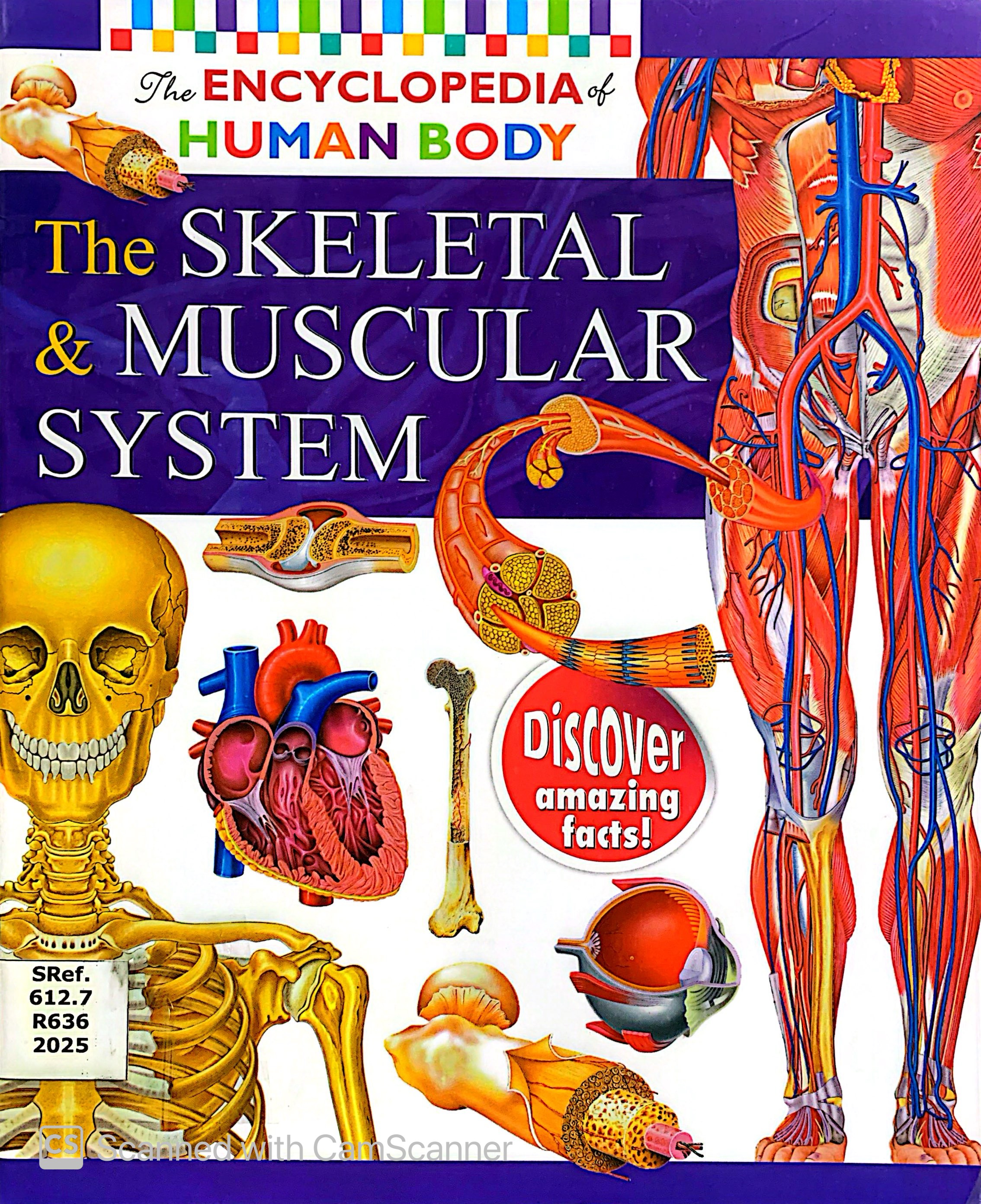 The Encyclopedia of Human Body: The Skeletal & Muscular System