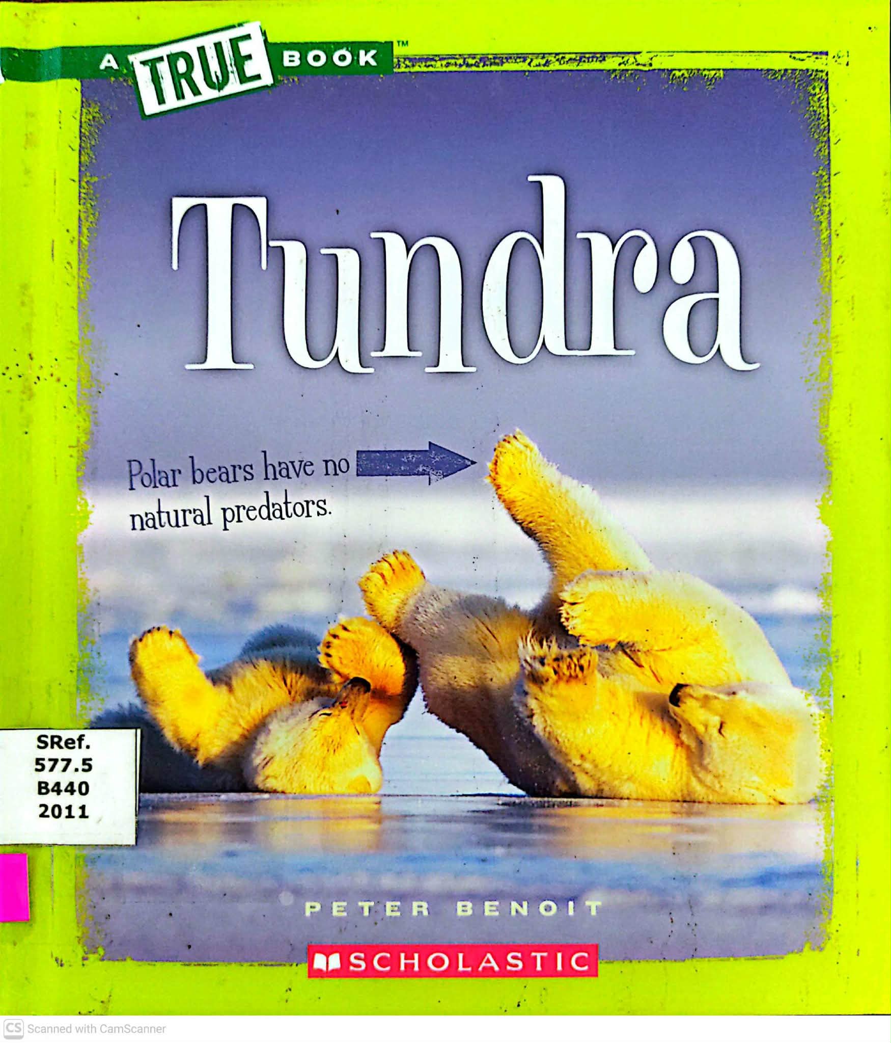 Tundra